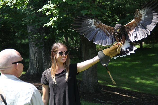 Colorado Springs Hands-On Falconry Class and Demonstration - Air-Conditioned Transportation