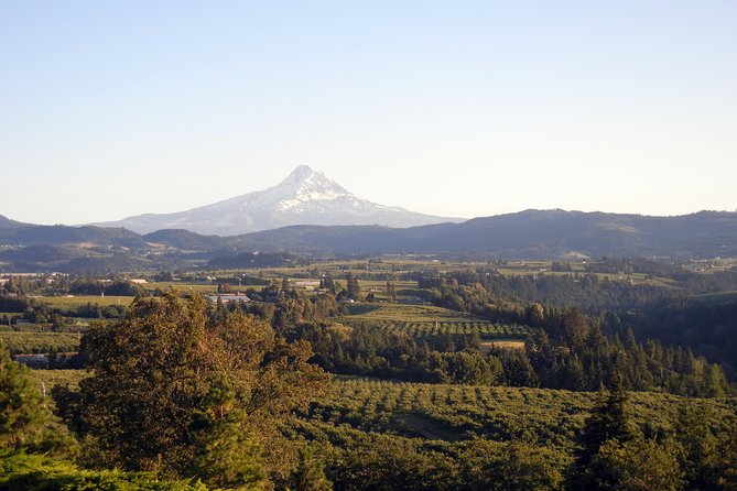 Columbia River Gorge Waterfalls & Mt Hood Tour From Portland, or - Booking and Pricing