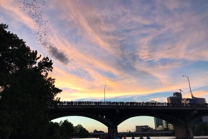 Congress Avenue Bat Bridge Kayak Tour in Austin - Bat Sighting Experience