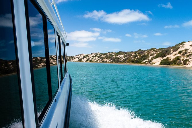 Coorong 3.5-Hour Discovery Cruise - Catered Delights Included
