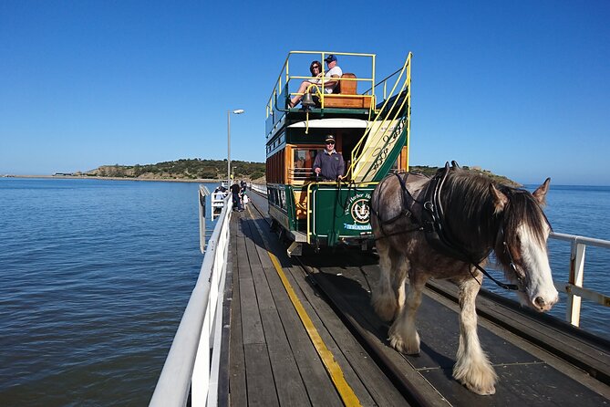 Coorong Discovery Cruise and Tour - Highlights of the Experience