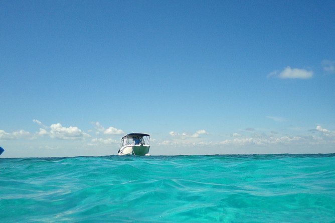 Coral Reef Private Snorkel Tour Out to John Pennekamp Coral Reef State Park - Sum Up