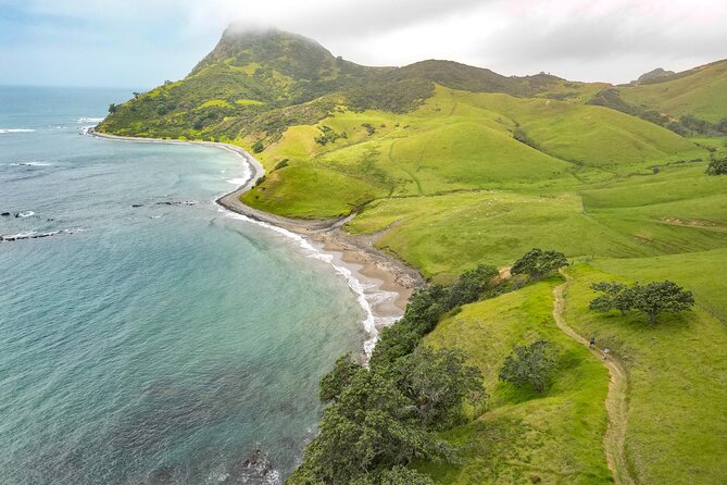 Coromandel Coastal Walkway: Full-Day Hike and Bike Tour - Reviews and Questions