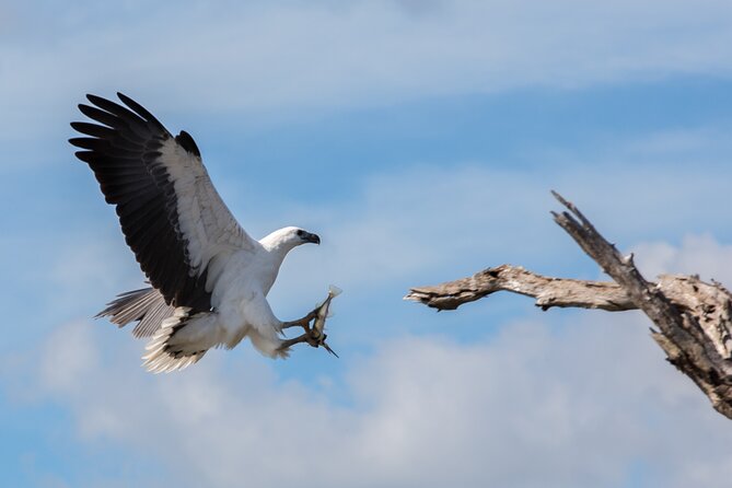 Corroboree Billabong 2.5 Hour Lunch Cruise - Pricing and Contact Information