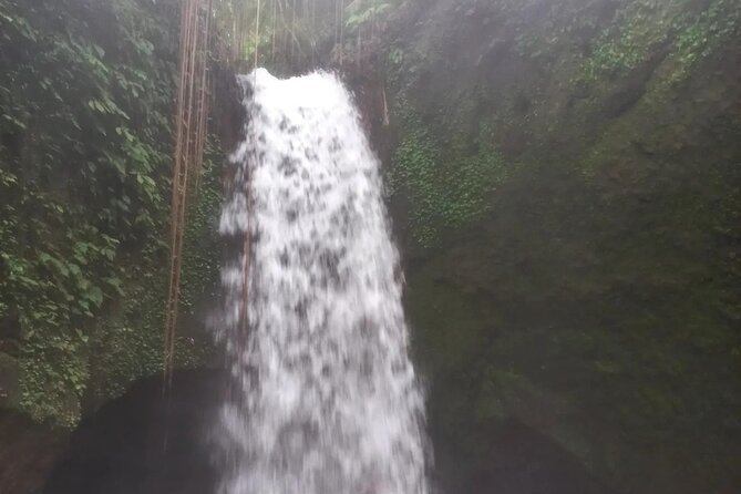 CRETYA Ubud Infinity Pool Hidden Water Fall Water Temple Tour - Booking Information