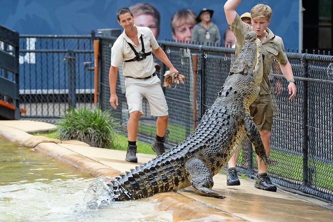 Croc Express to Australia Zoo From Gold Coast - Sum Up