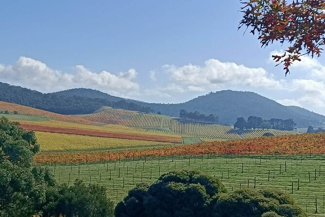 Customized Private Winery Day Tour in Yarra Valley at Your Own Choices - Booking and Contact Information