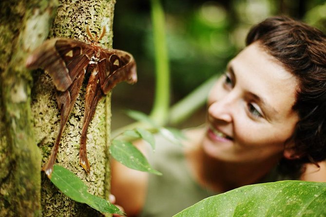 Daintree Park and Cape Tribulation With Aboriginal Guide  - Port Douglas - Additional Info