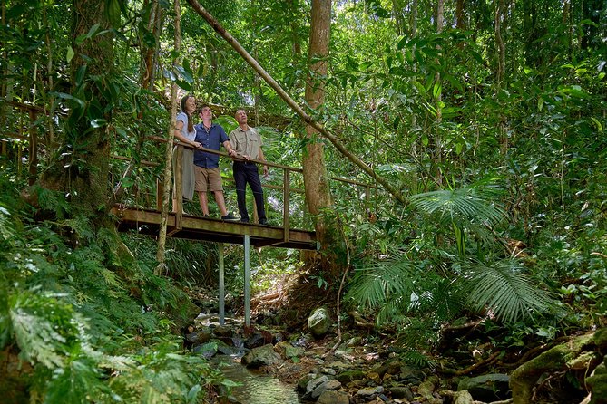Daintree Rainforest and Cape Tribulation Day Tour From Cairns - Customer Testimonials
