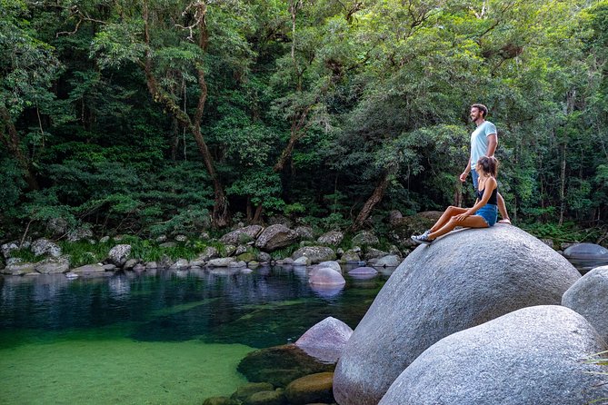 Daintree Rainforest and Mossman Gorge: Full or Half Day Tour - Safety Measures and Environmental Importance