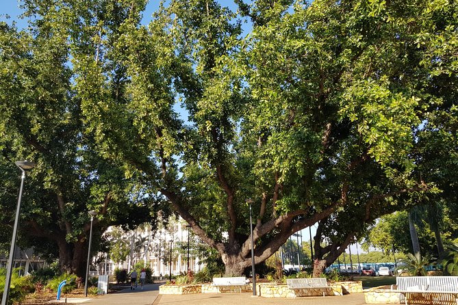 Darwin Heritage Walk - Guide Expertise