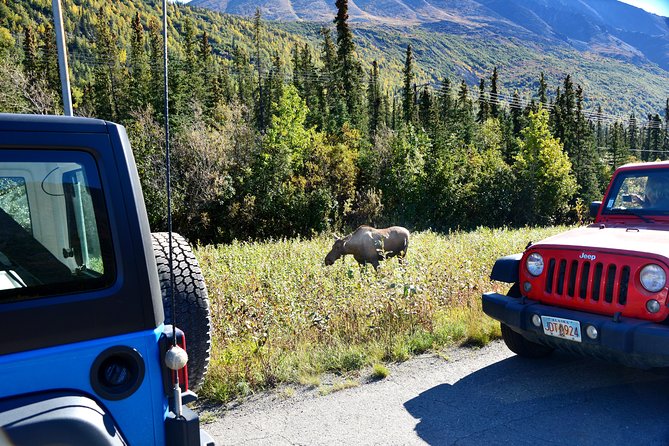 Denali Highway Jeep Excursion - Insightful Guide Narratives and Reviews