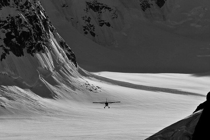 Denali National Park Flight and Glacier Landing From Talkeetna  - Alaska - Additional Information