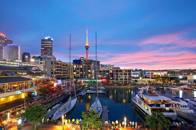 Departure Private Transfer From Auckland to Auckland Airport AKL in Business Car - Sum Up