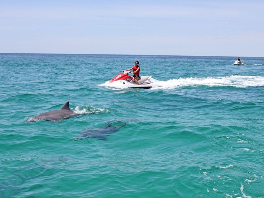 Destin: Crab Island Dolphin Watching Jet Ski Tour - Common questions