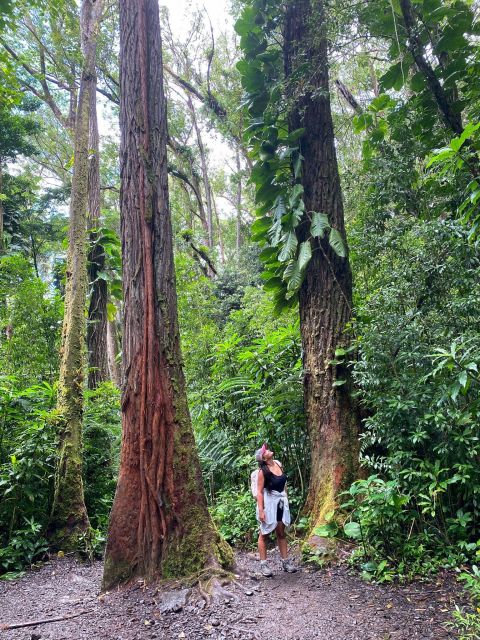 Diamond Head Manoa Falls - Additional Information