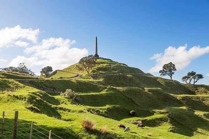 Discover Auckland City - Highlights Tour - Additional Information