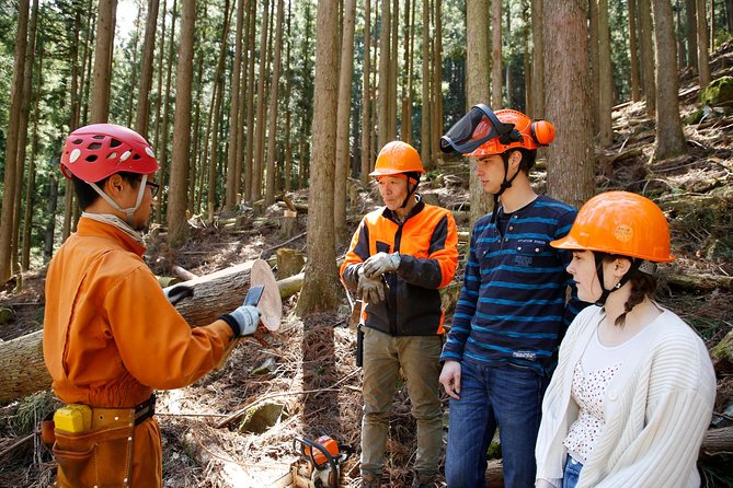 Discover Foresters Life Tour (1-Day) - Pricing and Operator