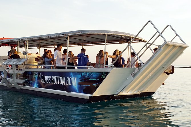 Discover Moreton Island: Resort & Activity Day Tour, Brisbane - Pricing and Lowest Price Guarantee