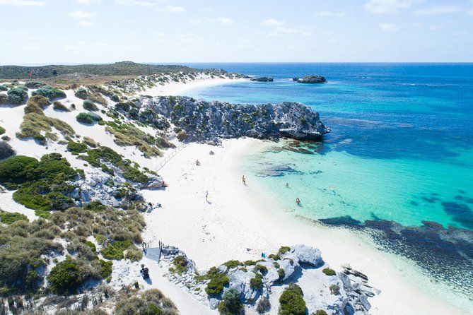 Discover Rottnest With Ferry & Bus Tour - Logistics and Considerations