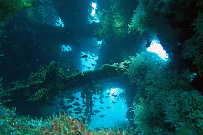 Diving in Tulamben - Exploration in Tulamben