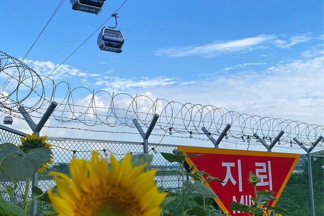 DMZ TOUR With Exclusive North Korean Defector Meet-Up - Traveler Information and Reviews