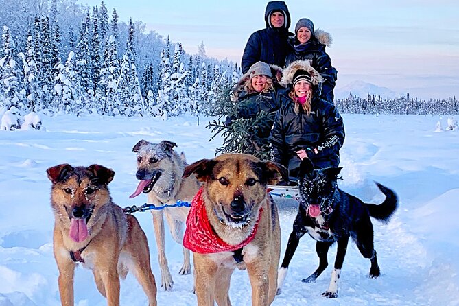 Dog Sledding Adventure in Willow, Alaska - Inclusions and Logistics Details