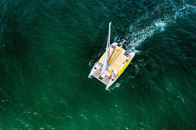 Dolphin Sightseeing Tour on the Footloose Catamaran From Panama City Beach - Sum Up