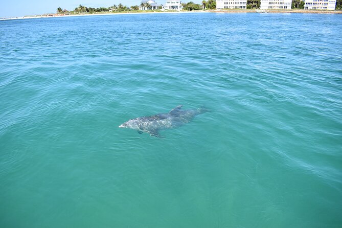 Dolphin Tiki Cruise Around Fort Myers Beach - Inclusions and Amenities