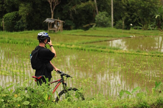 Downhill Cycling Tour Ubud Through Jungle and Rice Terrace - Pickup and Logistics Details