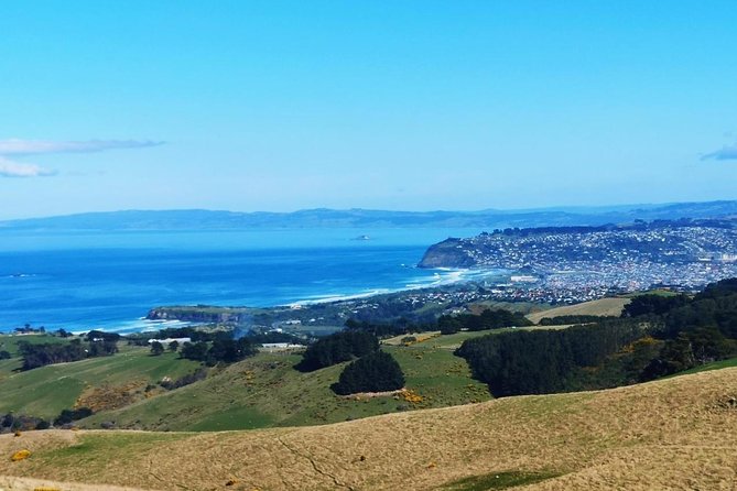 Dunedin City and Coastal Views 3-Hour Small-Group Guided Tour - In-depth Additional Information Provided