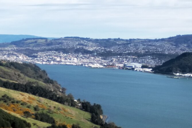 Dunedin City, Wildlife and Larnach Castle - Larnach Castle Visit