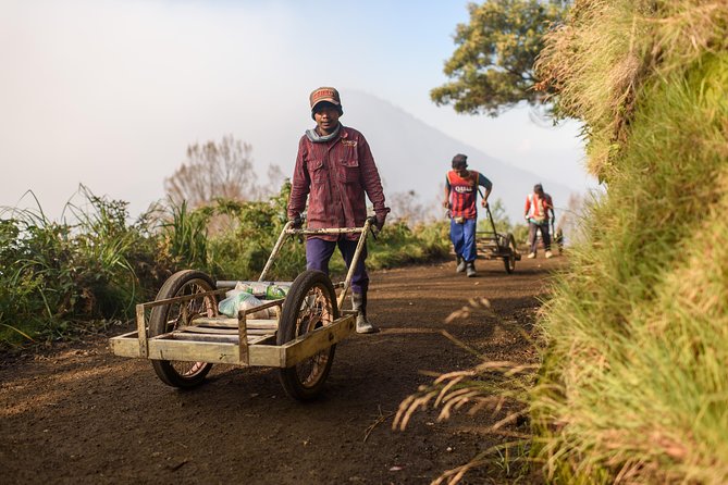 East Java 3-Day Tour: Ijen Crater (Kawah Ijen) and Mt. Bromo  - Seminyak - Traveler Assistance