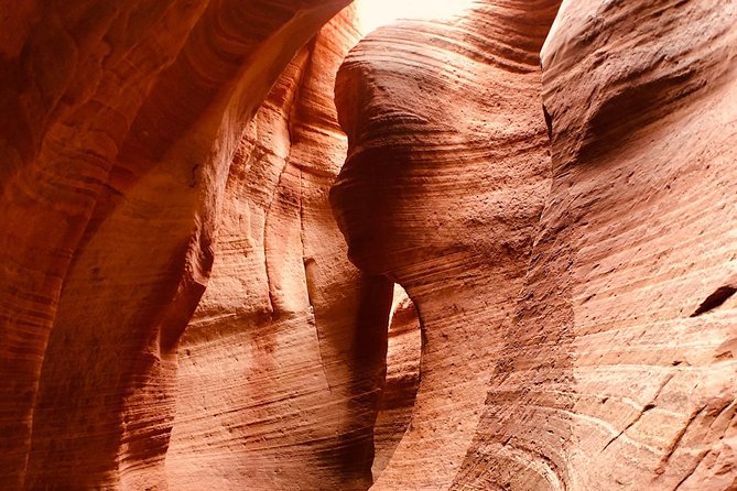 East Zion 2 Hour Slot Canyon Canyoneering UTV Tour - Common questions