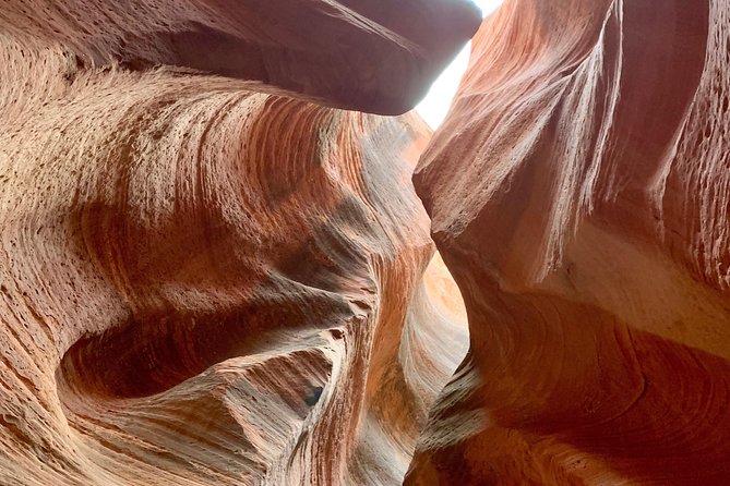 East Zion 4 Hour Slot Canyon Canyoneering UTV Tour - Pricing and Inclusions