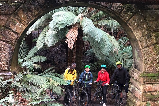 Easy Bike Tour - Mt Wellington Summit Descent & Rainforest Ride - Guide Information