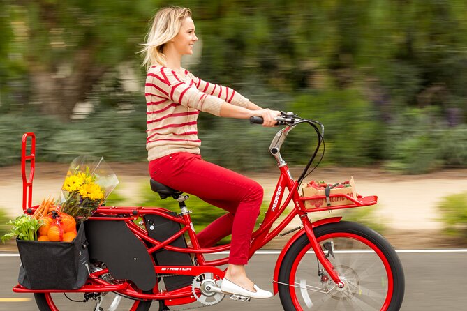 Ebike Rentals Through Pedego Tampa - Flexible Cancellation Policies