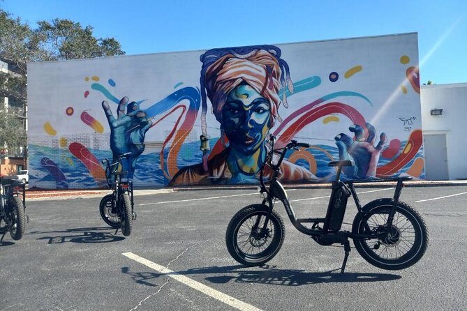 Electric Bike Guided City & Mural Tour - Common questions
