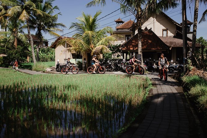 Electric Bike Tour in Ubud - Tour Experience Highlights
