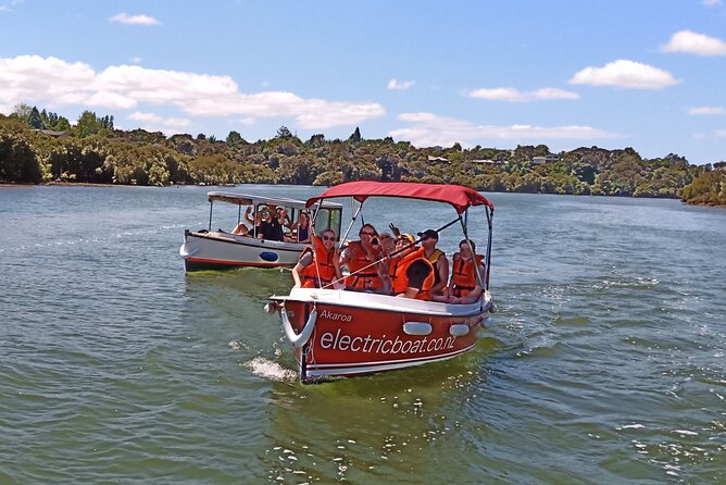 Electric Boats to Explore Kerikeri River - Reviews and Questions