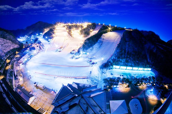 Elysian Gangchon Ski Resort Day Tour From Seoul - Traveler Reviews