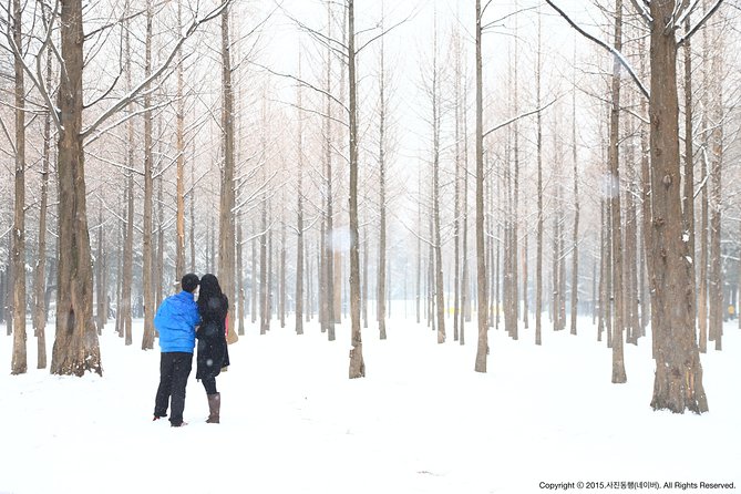 Elysian Gangchon Ski Resort With Nami Island Day Tour From Seoul - Activities Available