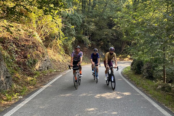 English/Italian Guided Cycling Tour in Tokyo - Sum Up