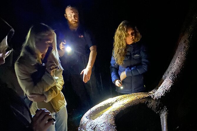 Evening Rainforest & Glow Worm Experience - Small Group Tour - Educational Value