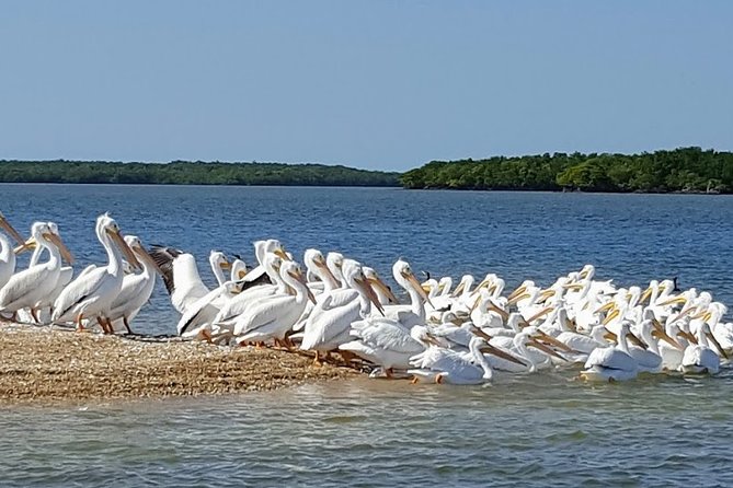 Everglades National Park Biologist Led Adventure: Cruise, Hike Airboat - Pricing and Inclusions