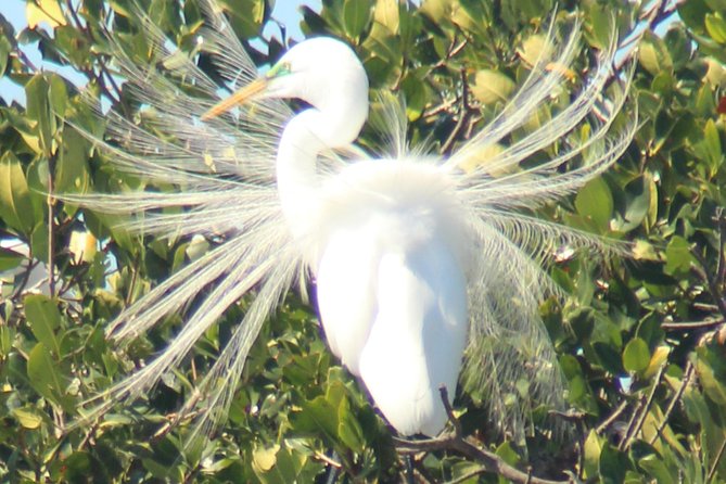 Everglades National Park Small Group Guided Boating & Walking Tour Expedition - Cancellation Policy