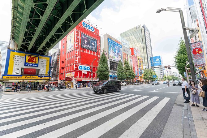 Exclusive Experience: Tailored Anime & Culture Tour in Akihabara - Cultural Immersion Activities