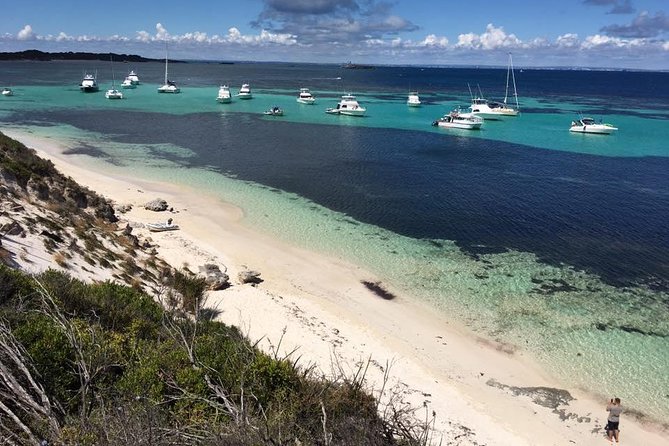 Experience Rottnest With Ferry & Bike Hire - Visitor Recommendations and Tips