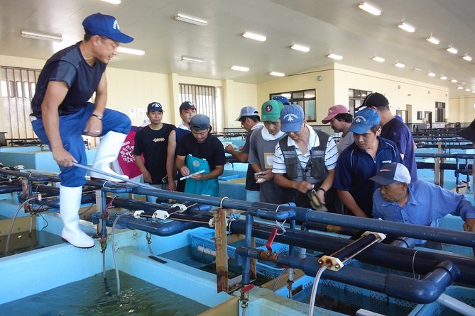 Explore Fishermen Island in Japan(Ise-Shima) - Scenic Views