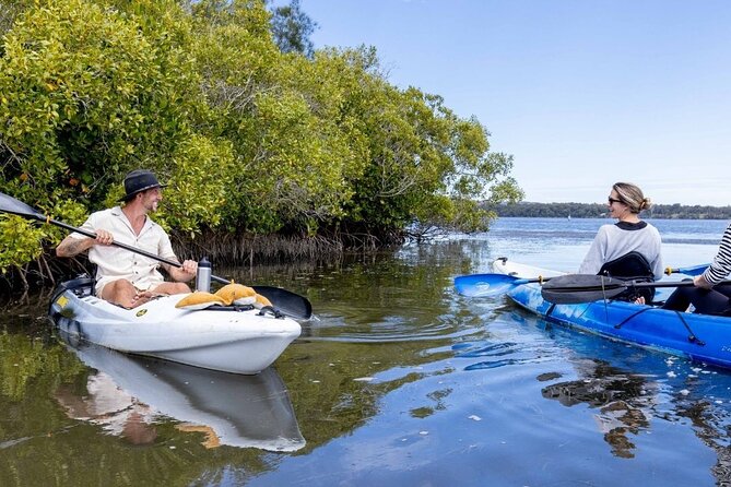 Explore Noosa by Kayak - Mangroves and Mansions - Sum Up